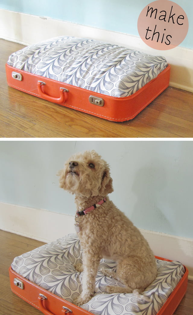 Cama de maleta reciclada para la Mascota Jet-set