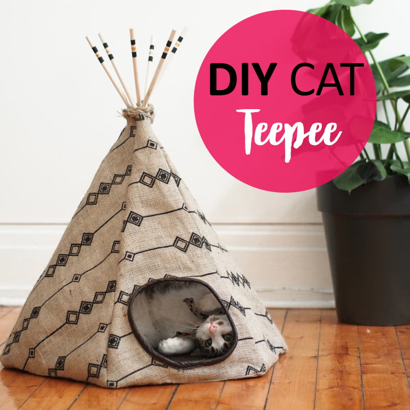 Lit de Tipi pour Chat BRICOLAGE et Cachette