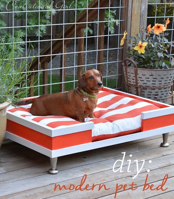 26 Best DIY Pet Bed Ideas and Designs for 2024