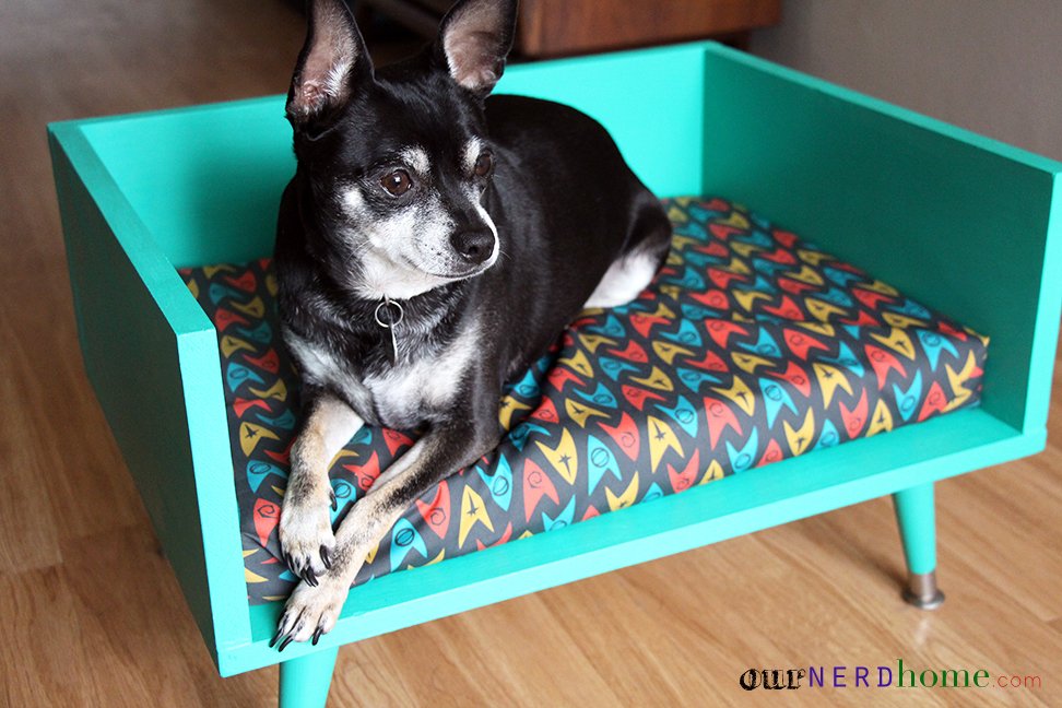 Salon pour Chiens Élégant et moderne