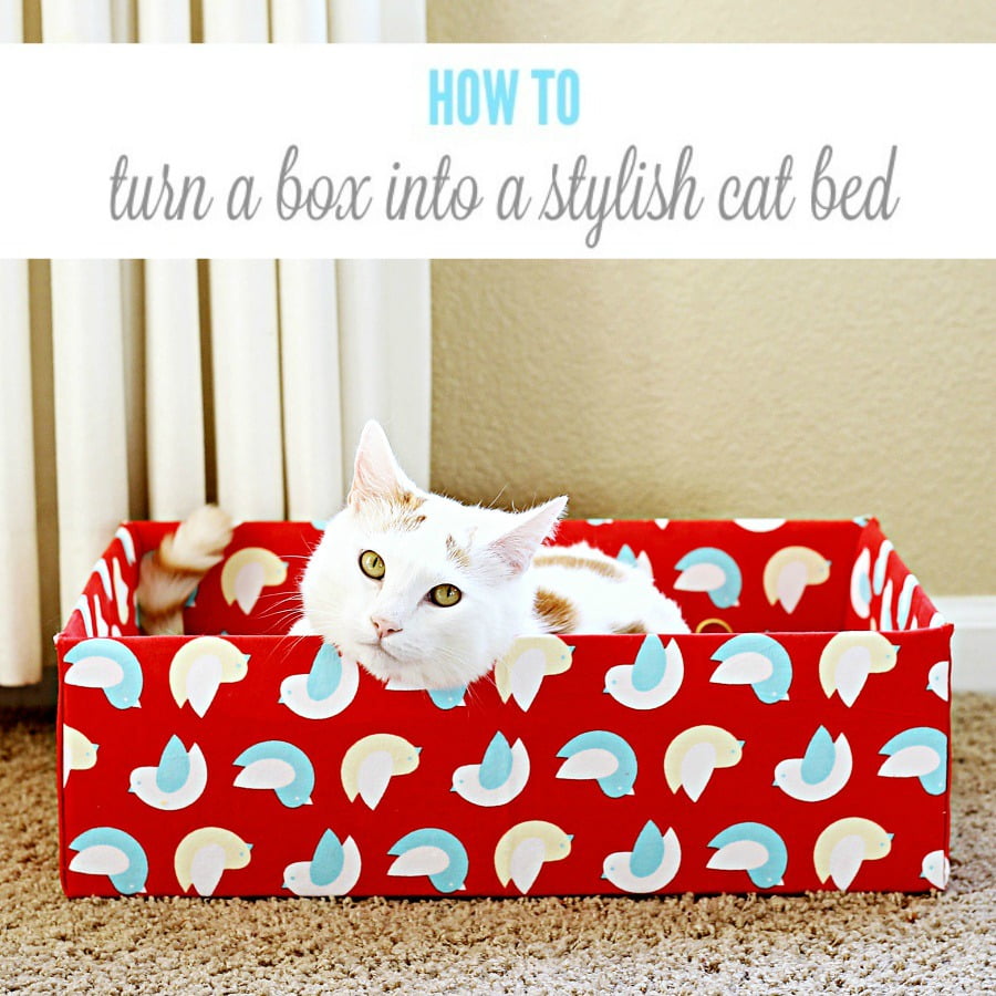 super Simple Box Bed for Cats