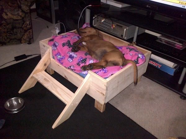 26 Best DIY Pet Bed Ideas and Designs for 2018