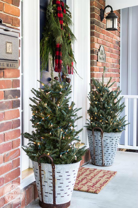 Miniature Christmas Trees in Olive Buckets