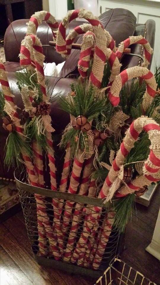 Candy Cane Forest