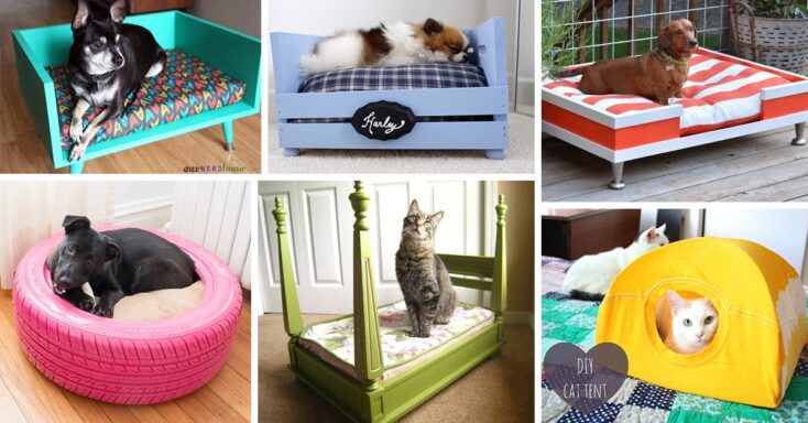 Featured image for 26 DIY Pet Bed Ideas to Spoil Your Fur Babies