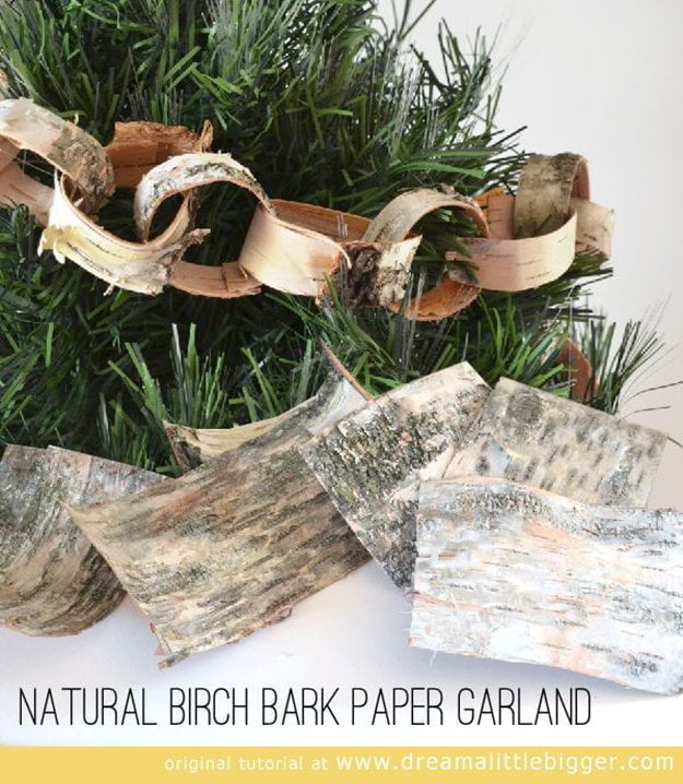 Birch Bark Beauty