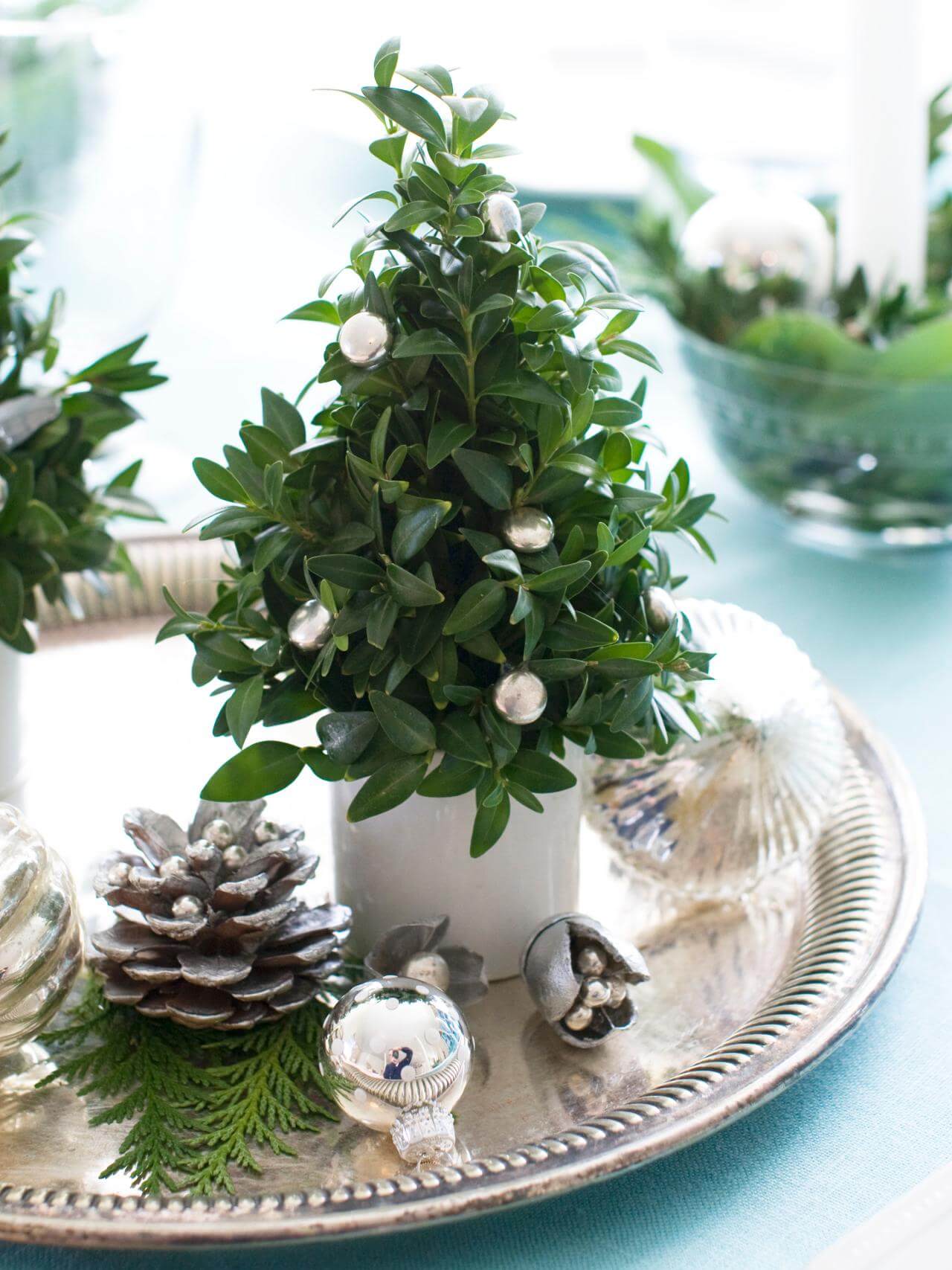 Refined Silver Platter Miniature Christmas Trees