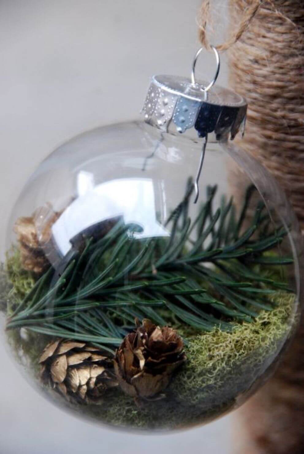 Winter Terrarium