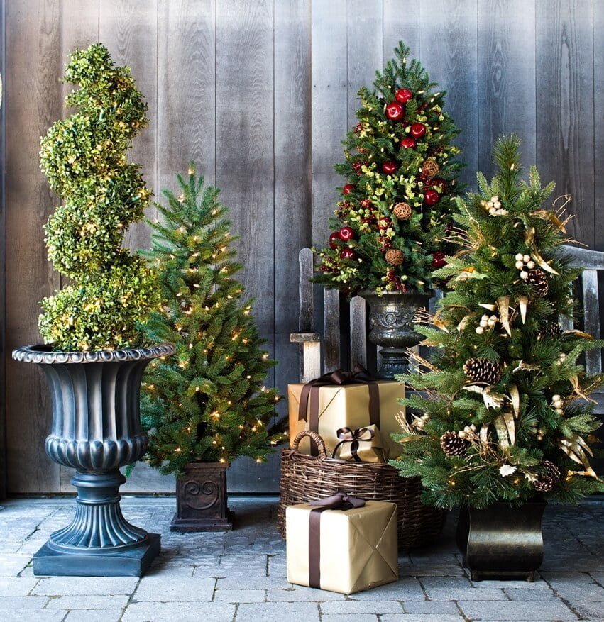 Christmas Trees in Decorative Planters