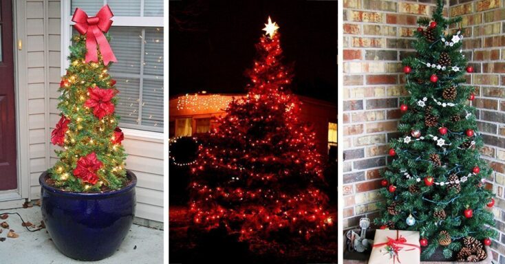 Featured image for 22 Charming Outdoor Christmas Tree Decorations You Must Try this Year