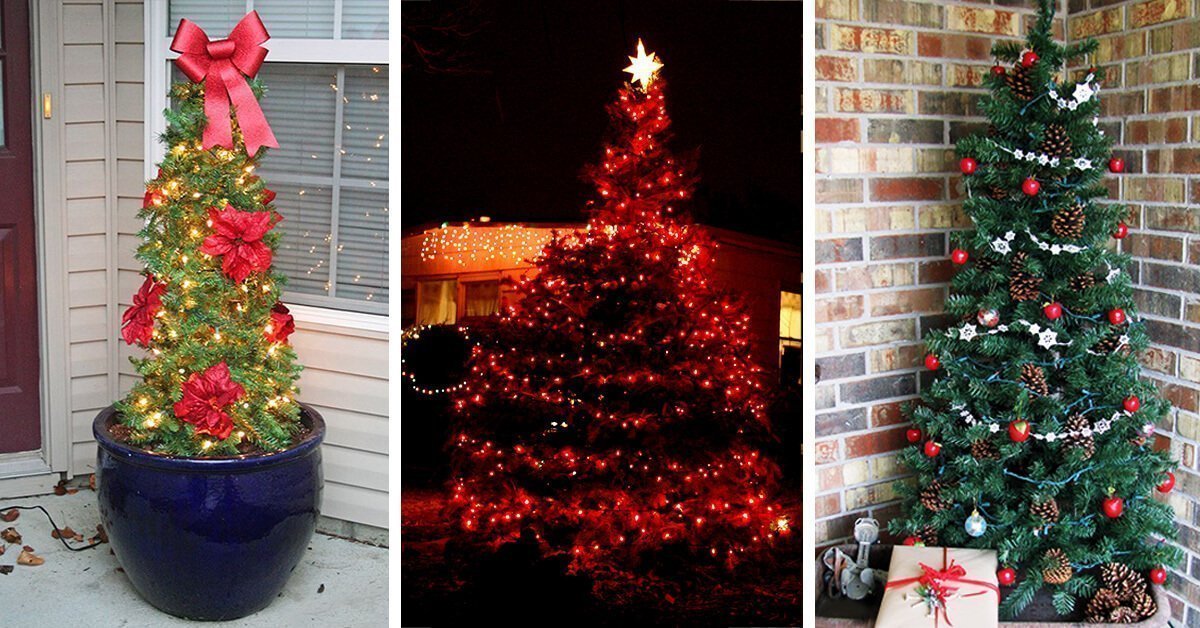 22 Best Outdoor Christmas Tree Decorations and Designs for 2023