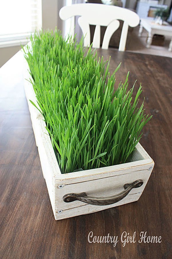 Add Some Color with a Grassy Centerpiece