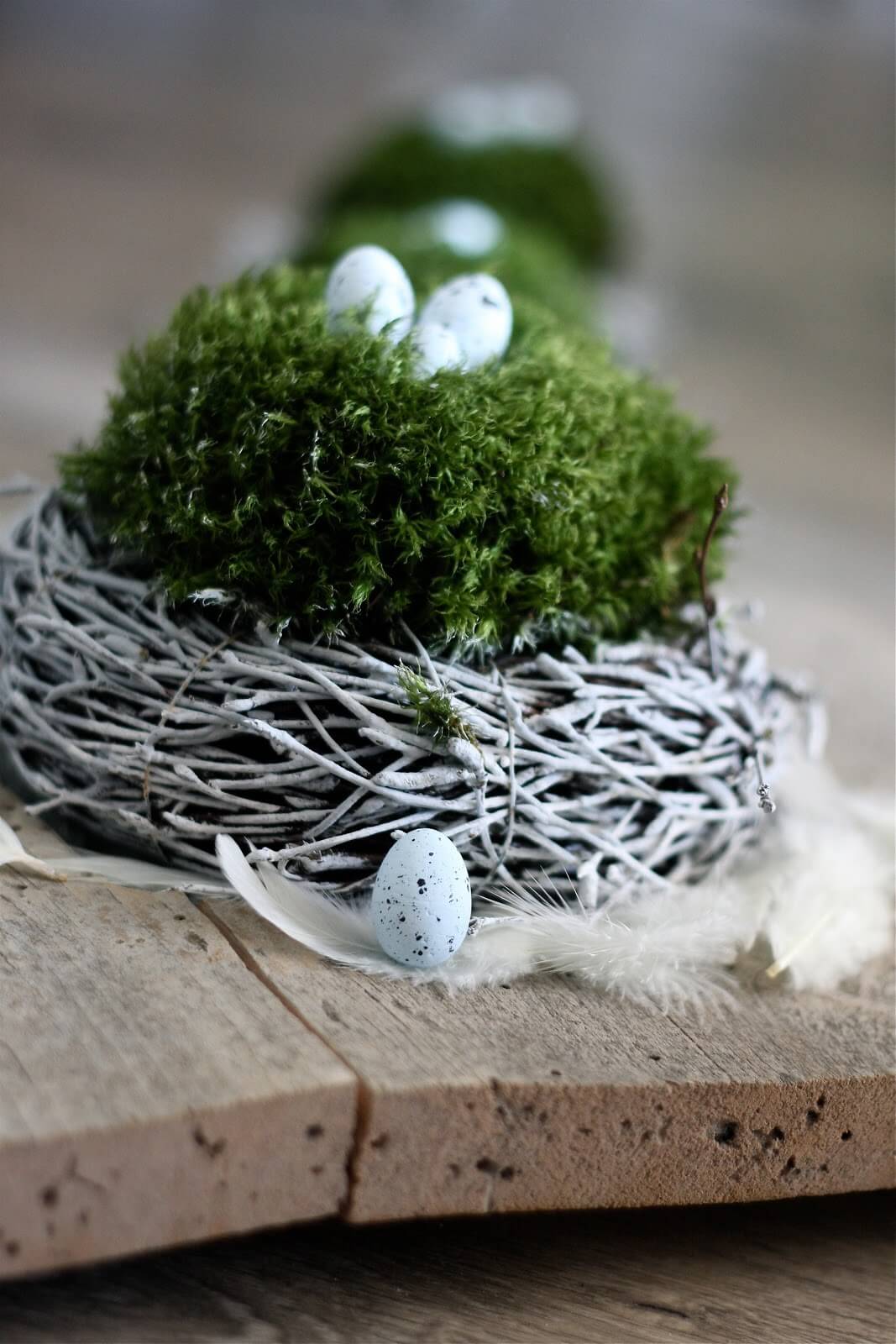 Petite & Sweet Spring Bird Nests