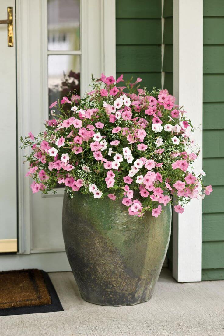 Giant Clay Spring Flower Planter