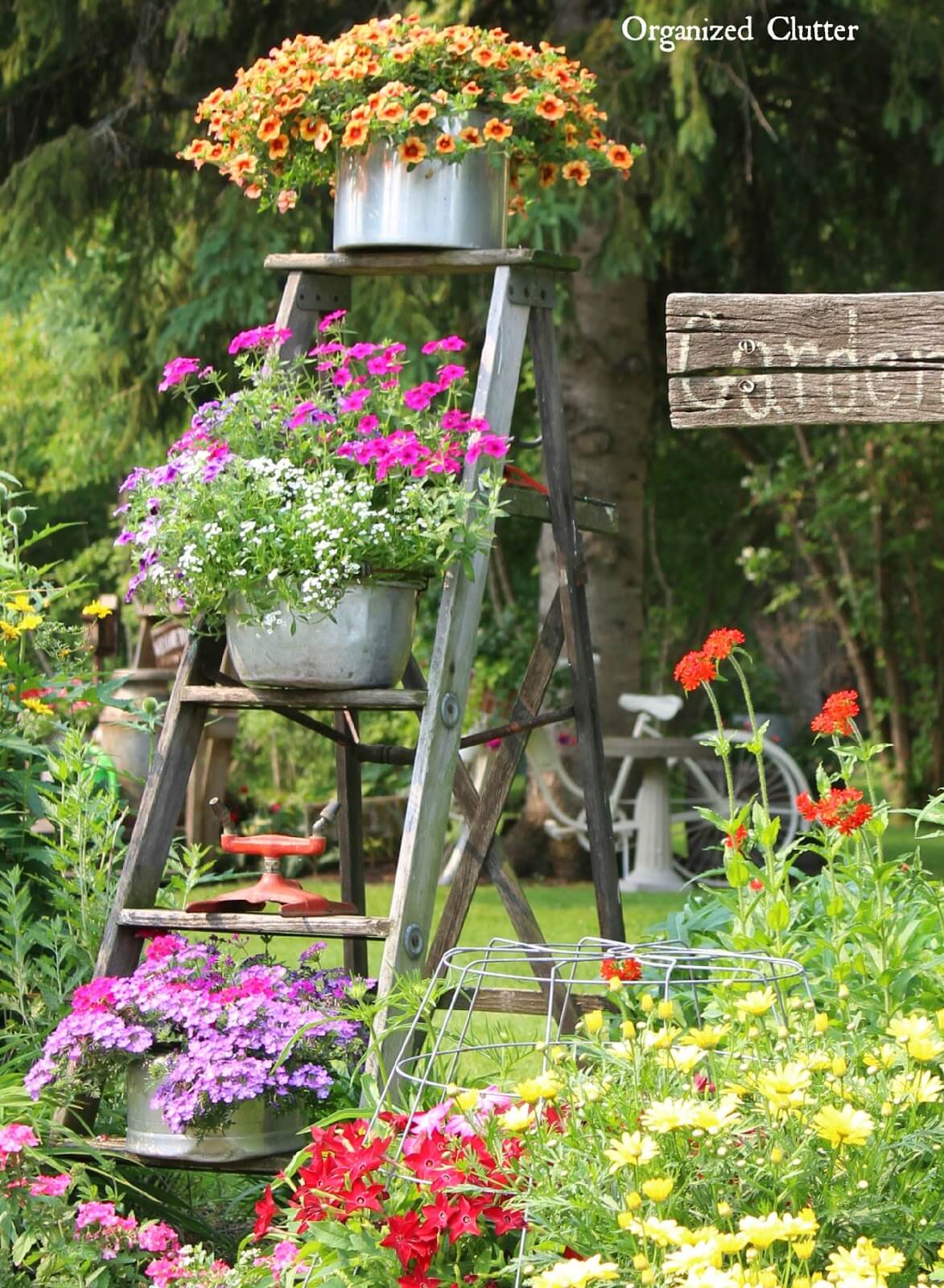 Disposition de jardin à pots de fleurs à échelle vintage