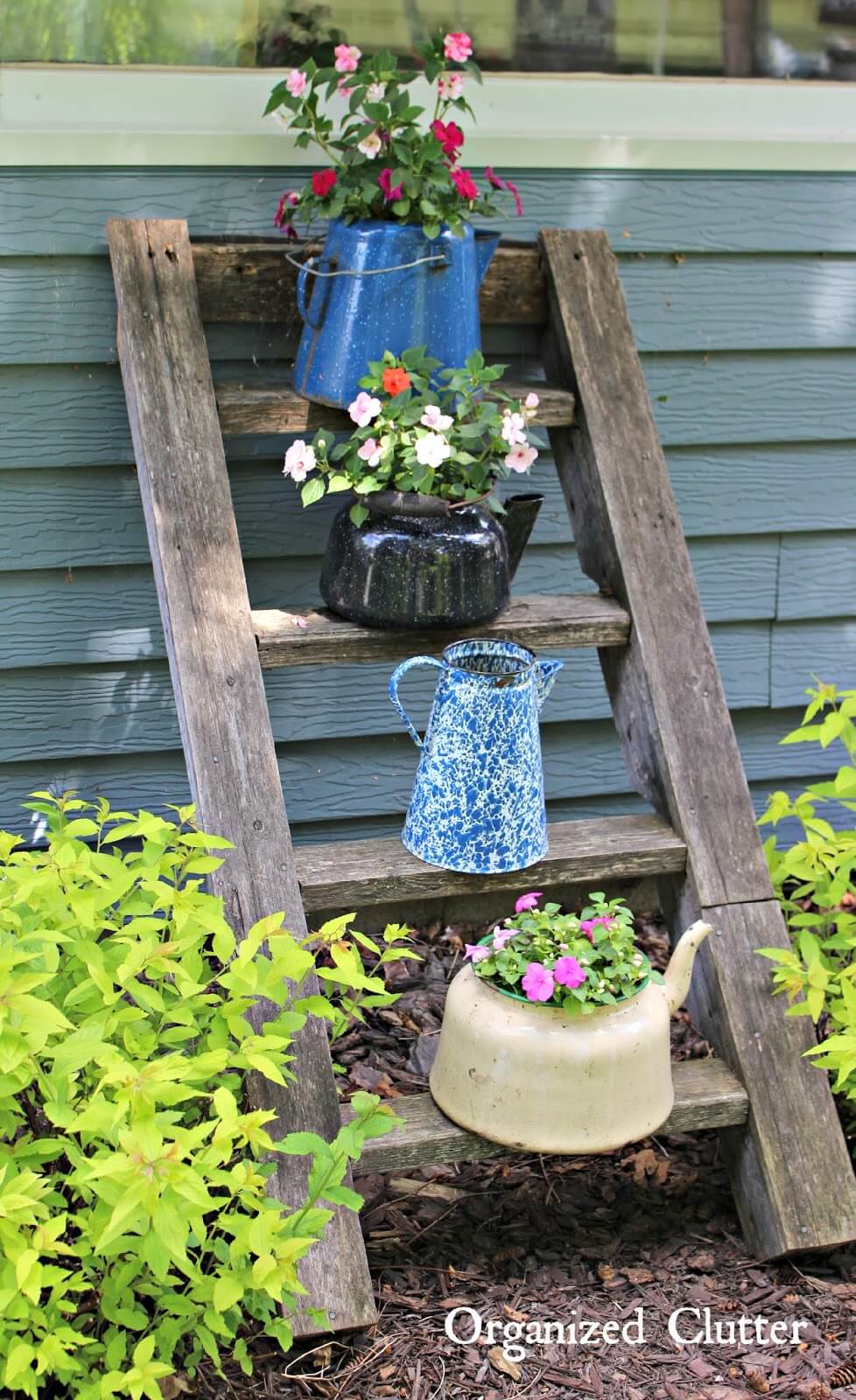 Vintage Coffee Pot Planters with Ladder Display