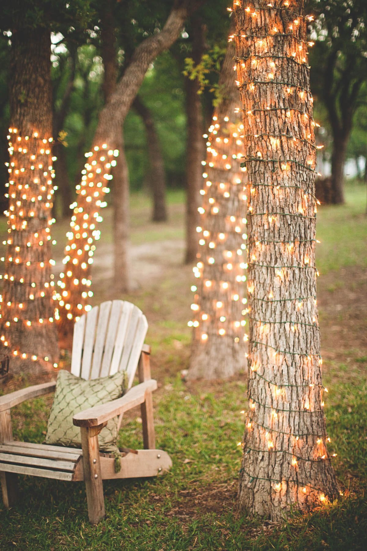 Luces de cuerda envueltas alrededor de los árboles del patio