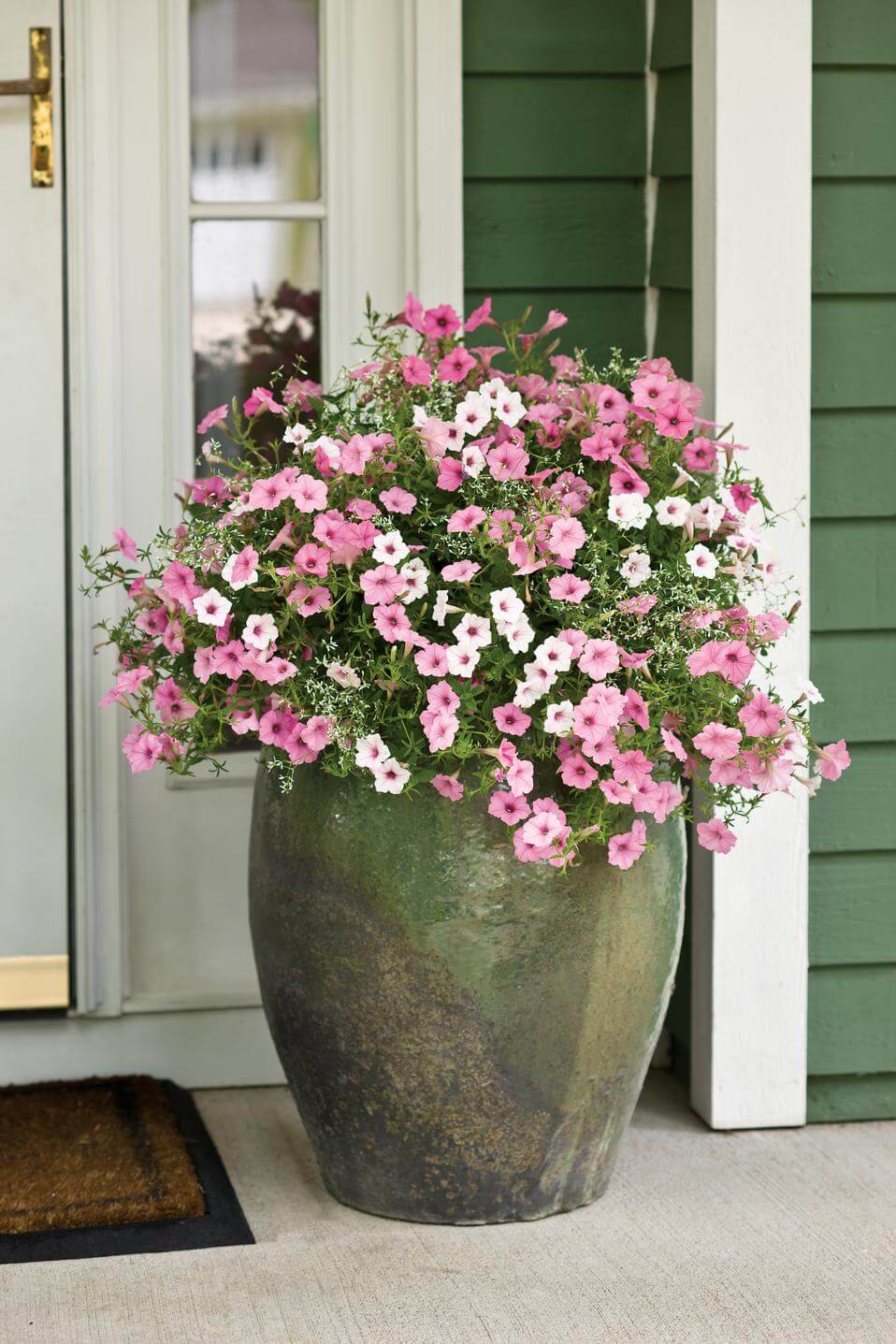 29 Best Front Door Flower Pots Ideas And Designs For 2020