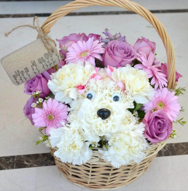 Cuddly Carnation Terrier Nestled in Basket