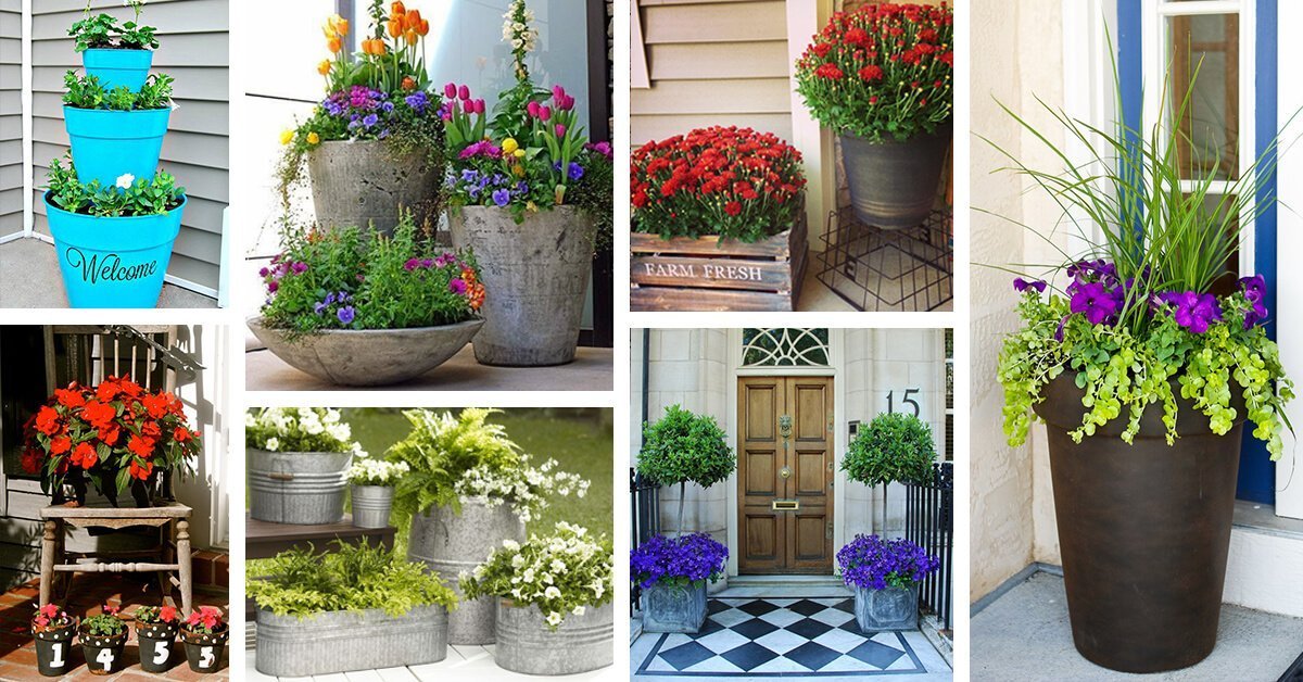 outdoor potted flower arrangements