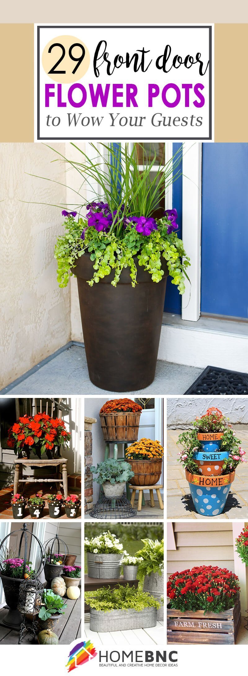 Front Door Potted Plants Ideas