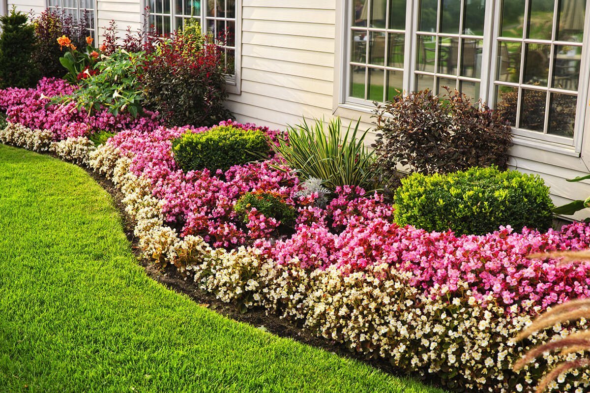 Perennial Flower Bed for Summer-long Blooms