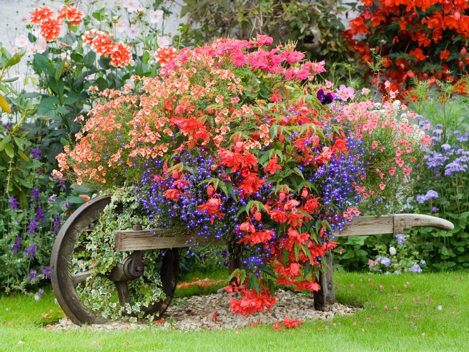 Cottage-Style Planted Wheelbarrow