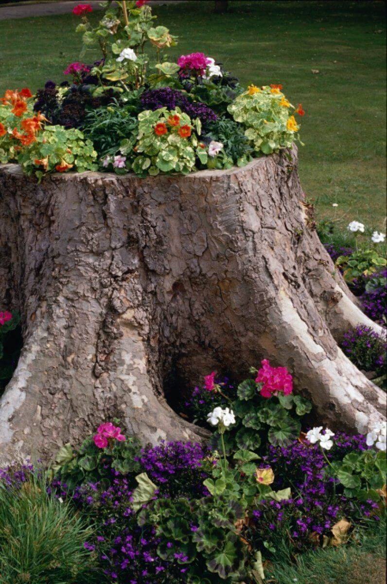 Bonito parterre de tocón de árbol reutilizado