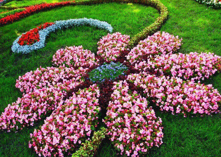 Struttura del giardino floreale a forma di fiore