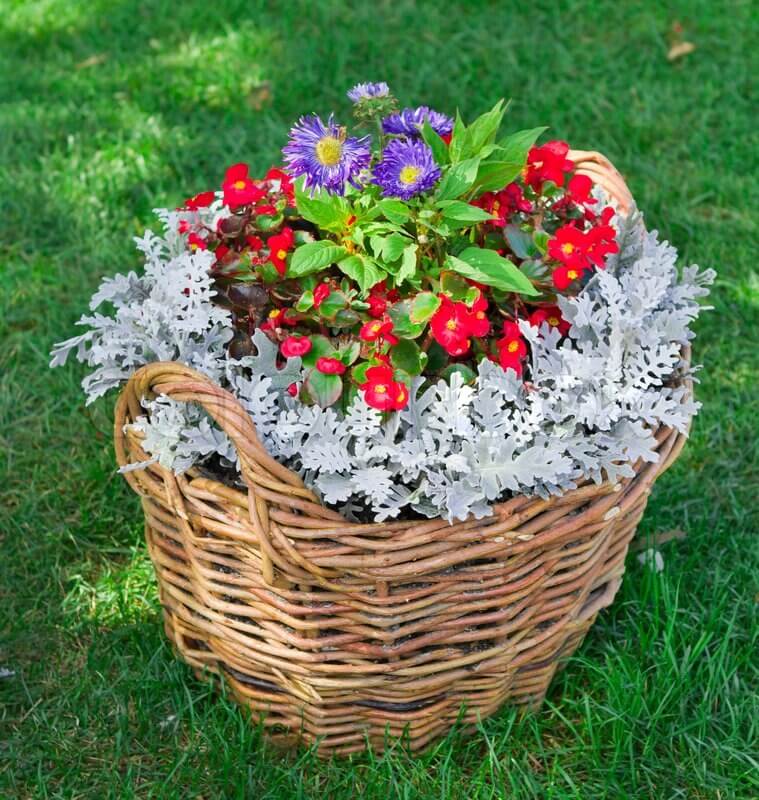Pretty Wicker Basket Flower Planter