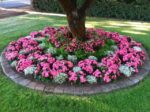 50 Front Yard Landscaping Ideas To Boost Curb Appeal