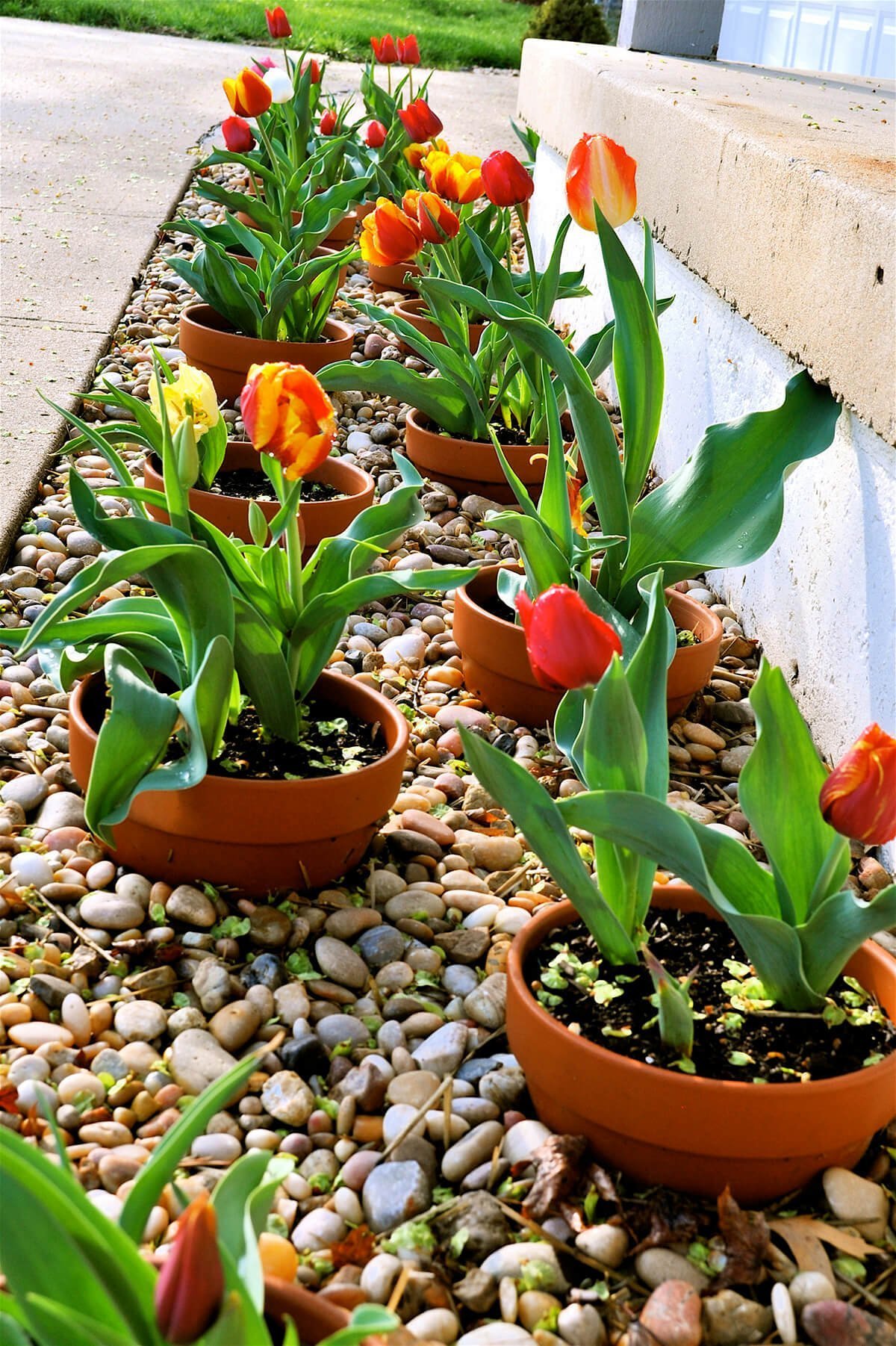 Cama de flores con macetas de barro