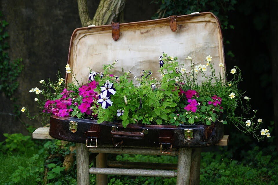 Idée de jardinière de fleurs en forme de valise vintage