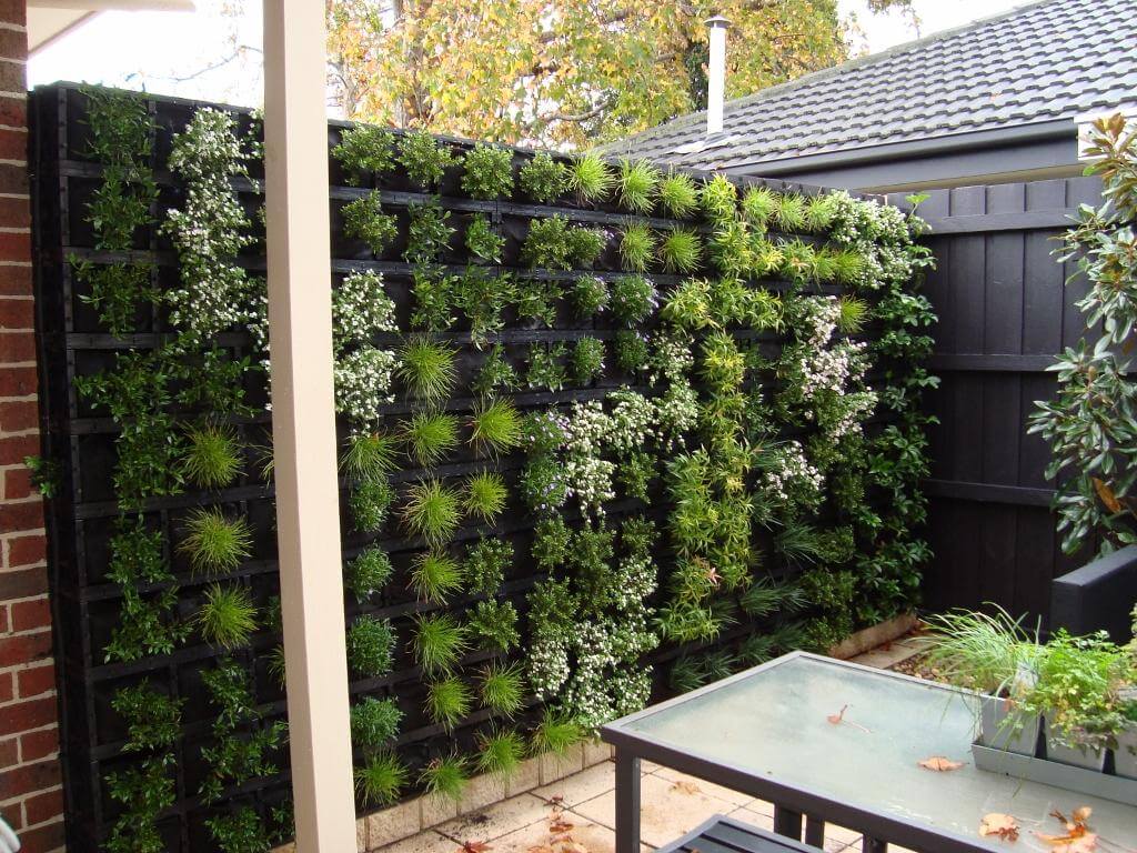 Green Wall Backyard Planter Project