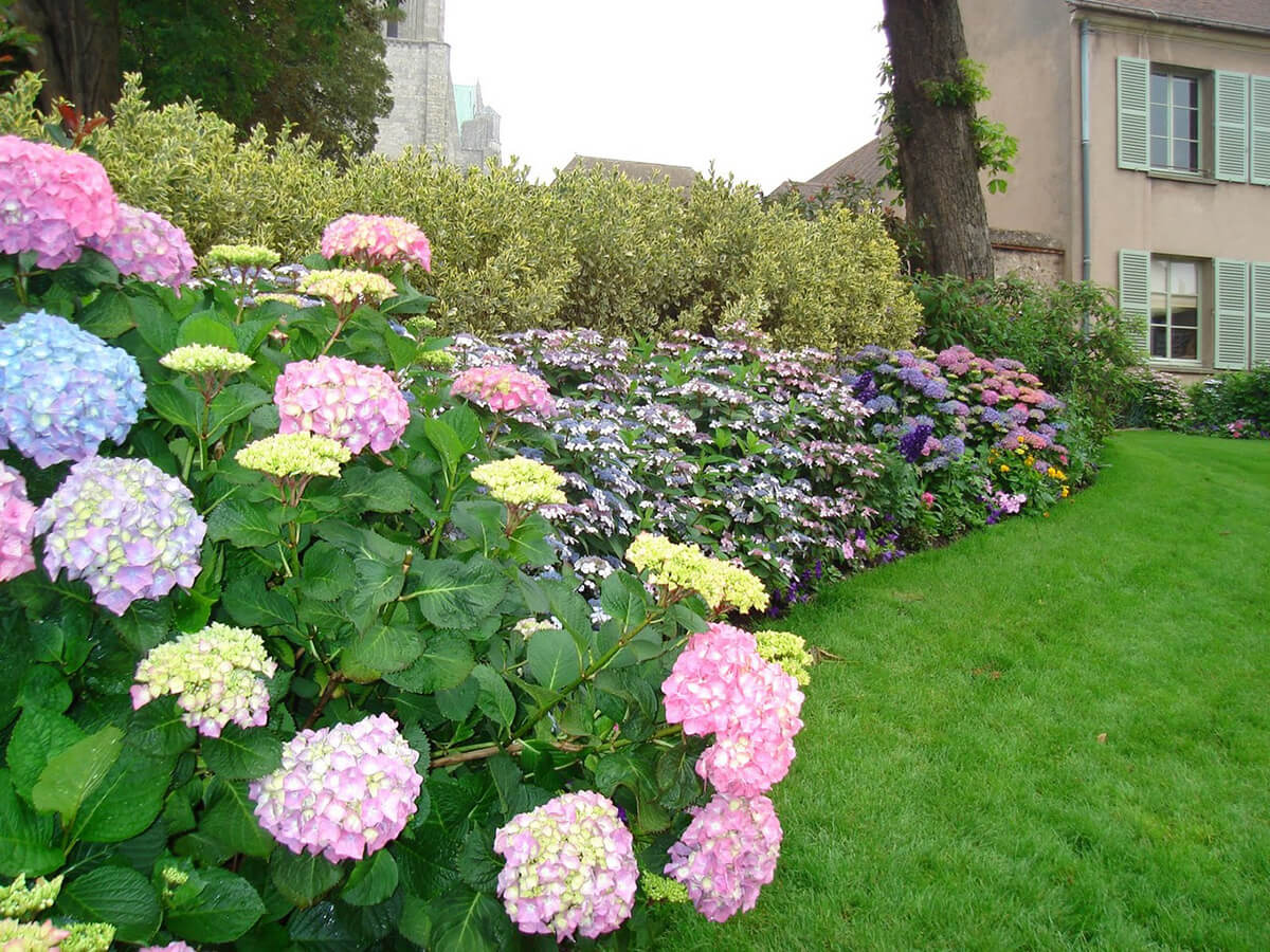 Bloemenbed voor kleine tuinen