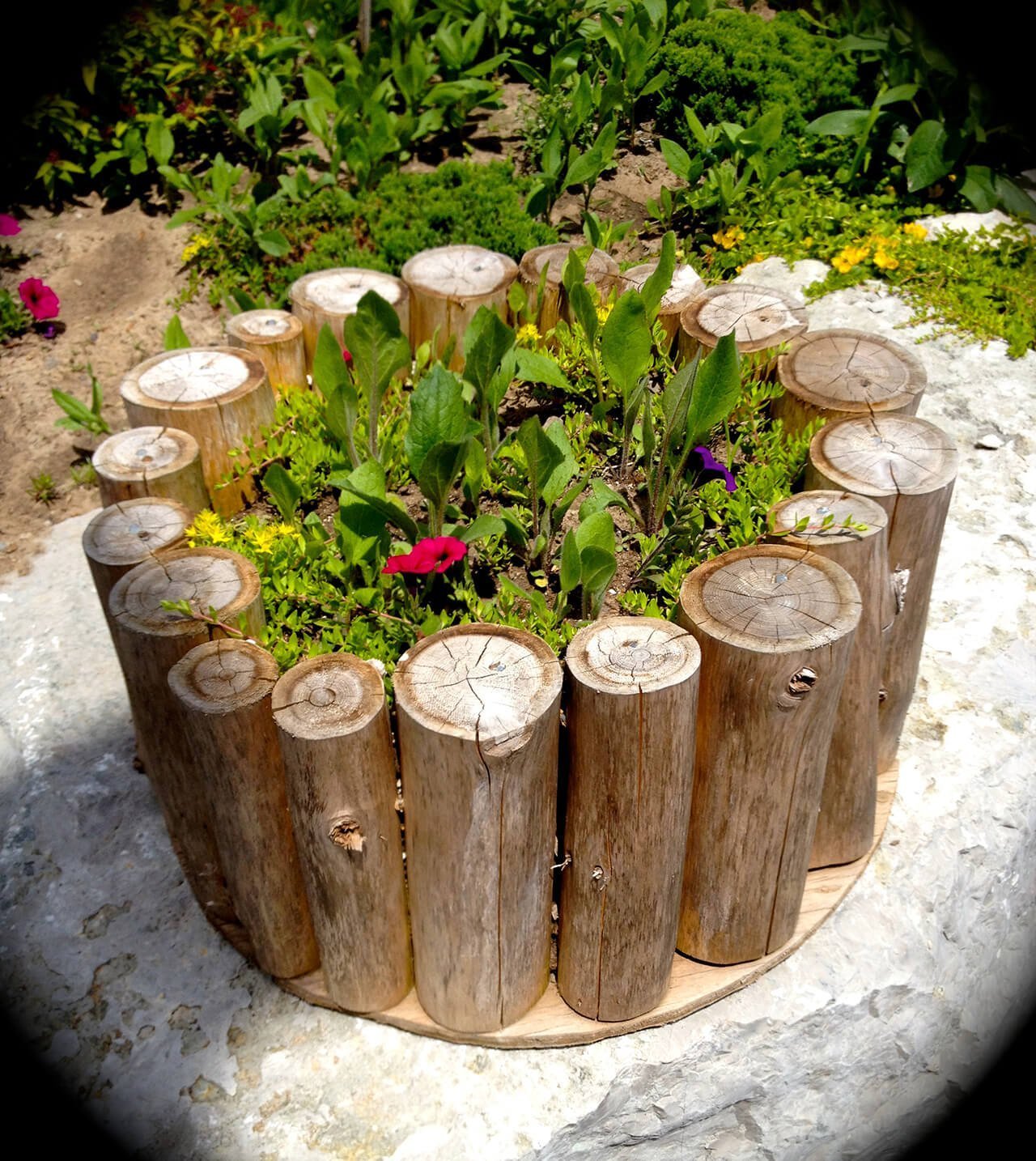 DIY Rustic Flower Planter with Logs