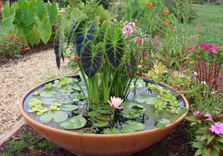 DIY Clay Pot Garden Pond