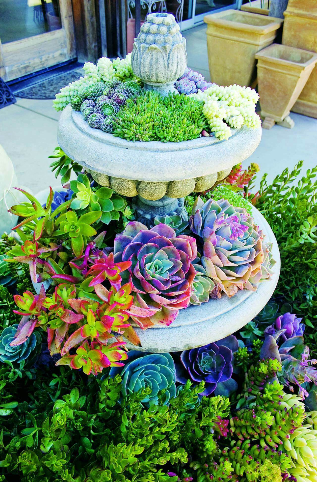 50 Best Creative Garden Container Ideas And Designs For 2021 