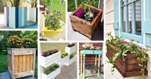 DIY Pallet and Wood Planter Box Ideas
