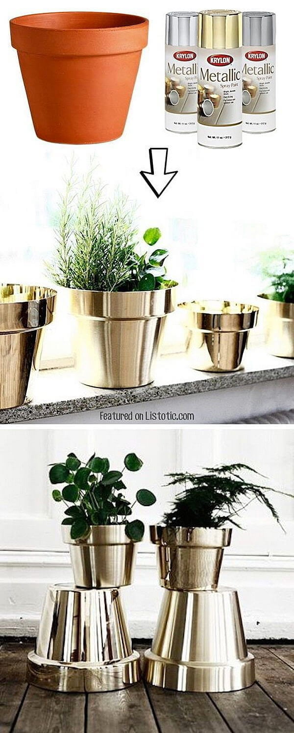 Metallic Gold Pots for Exotic Window Plants