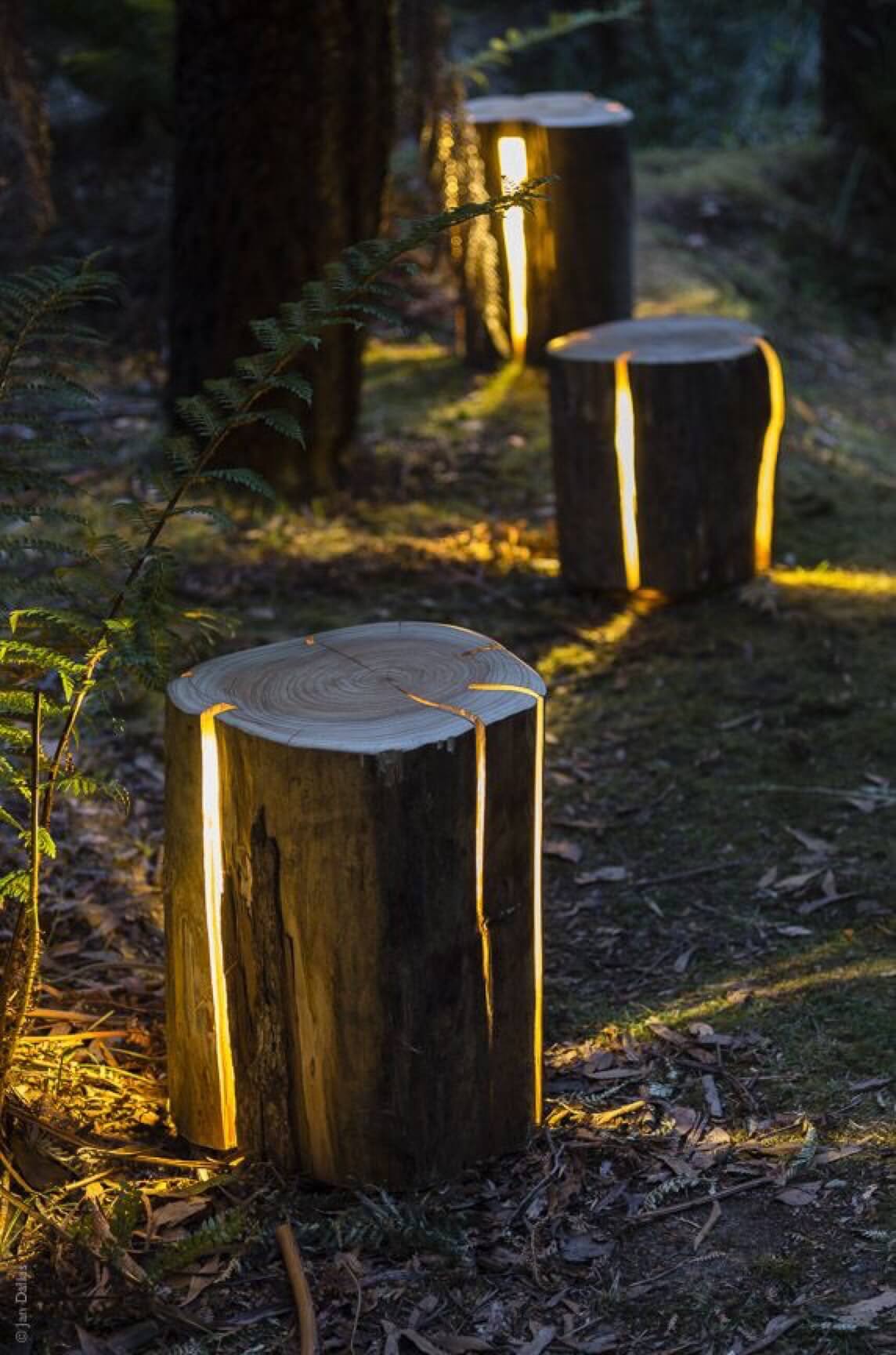 Natürliche Beleuchtete Log Pathway Lichter