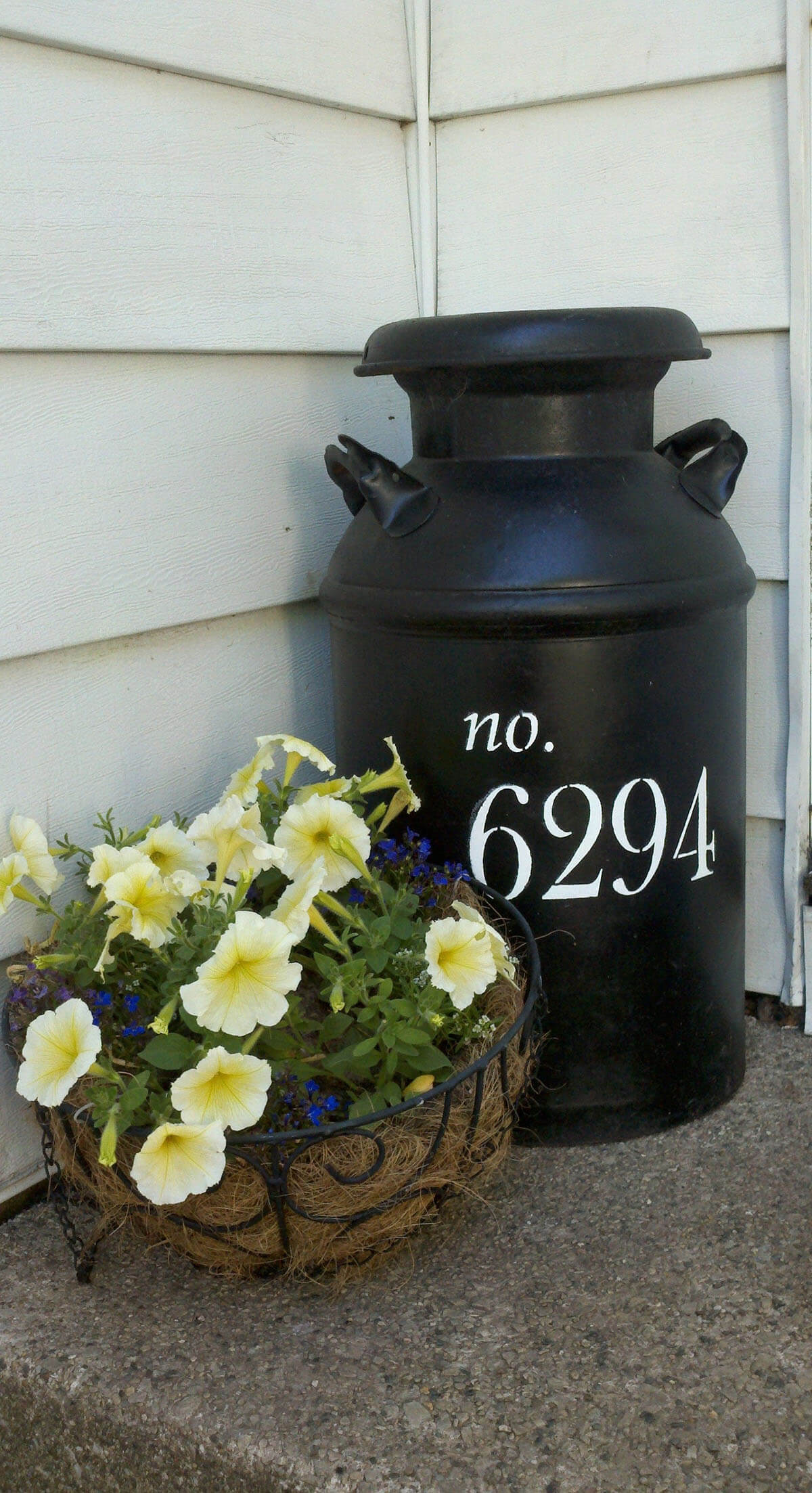 Milk Jug Display to House Wet Umbrellas