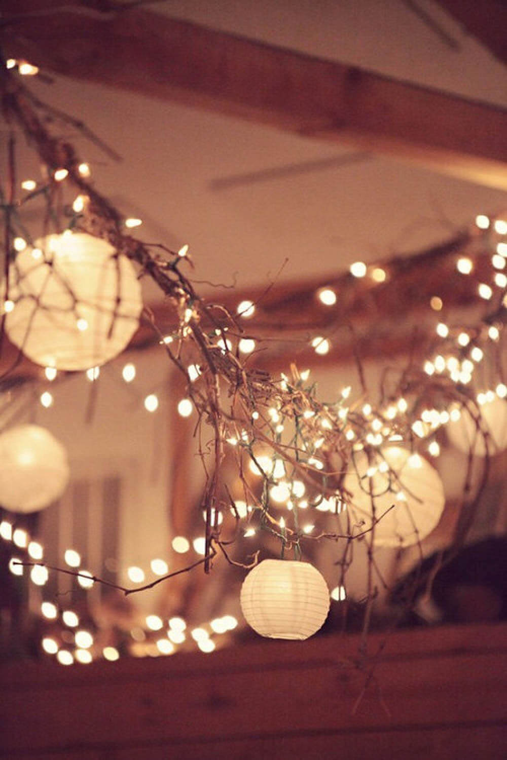 Rustic Grapevine and Chinese Lantern Garland
