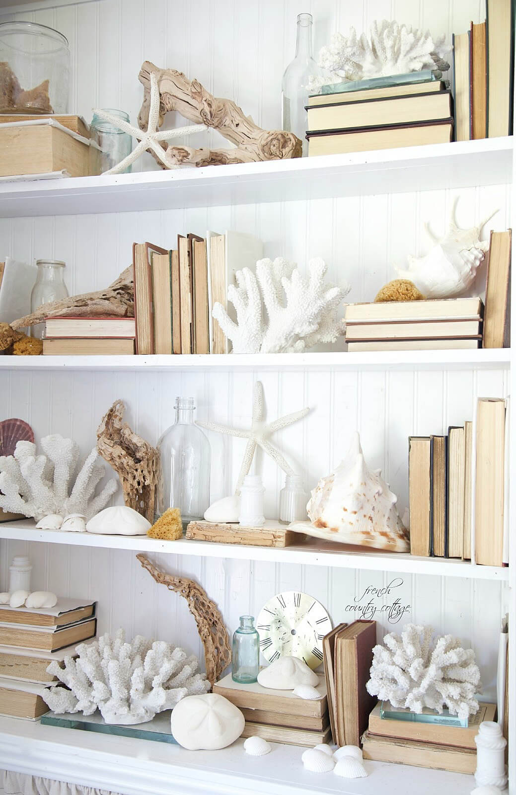 A Bookcase Crawling with Coral and Shells