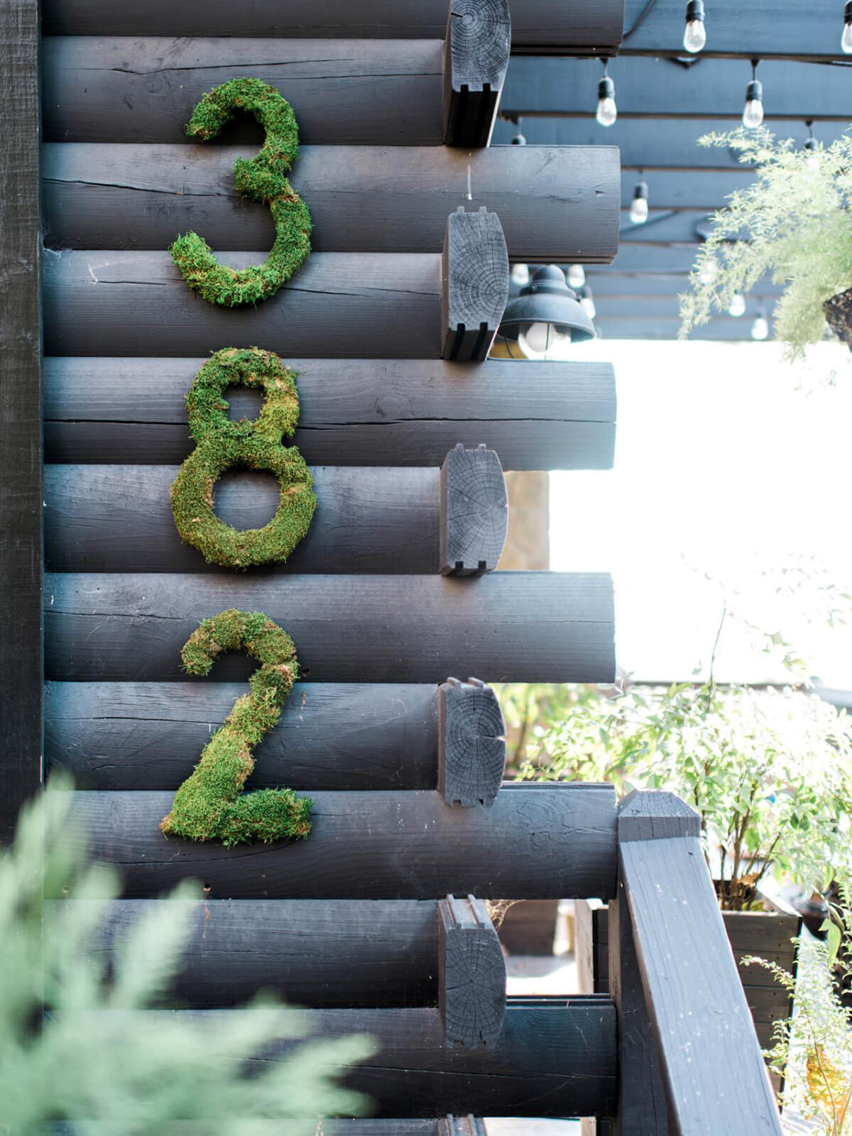 Moss Encrusted Numbers on a Log Wall