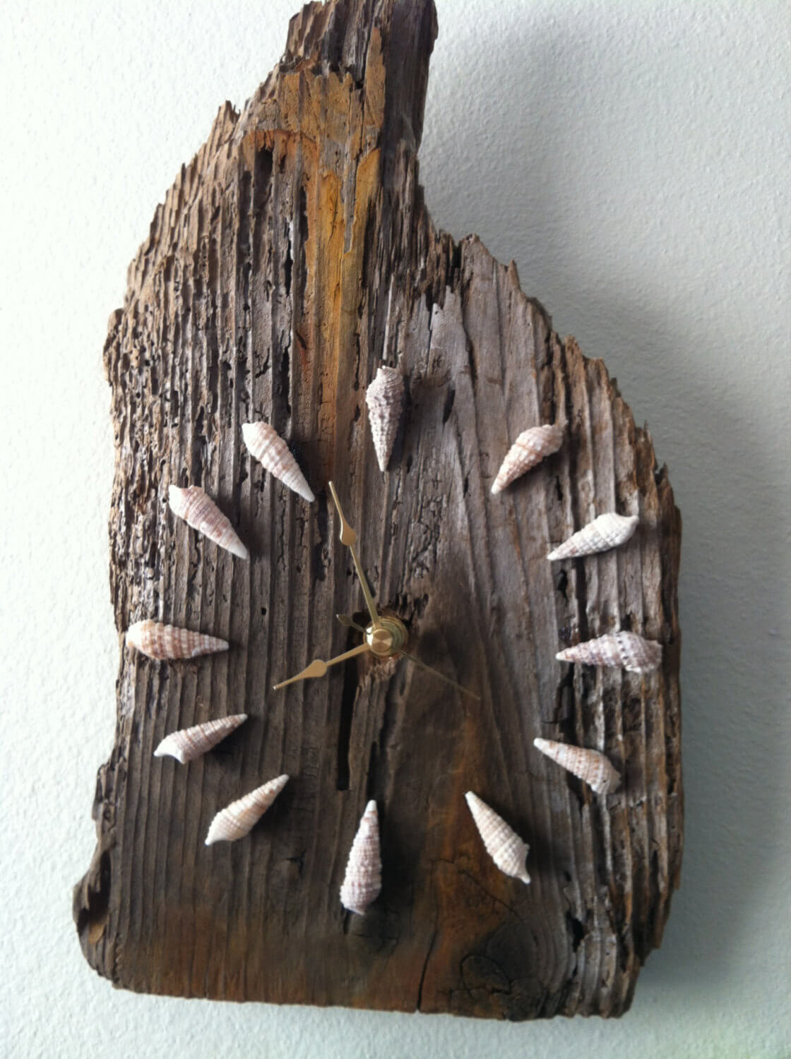 Driftwood Timepiece with Seashell Minute Markers