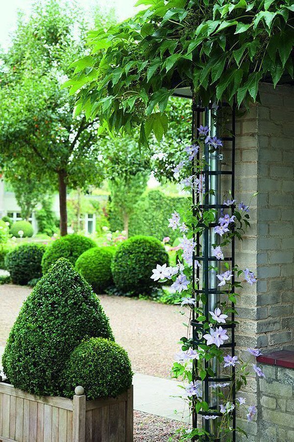 24 Best DIY Garden Trellis Projects (Ideas and Designs) for 2021