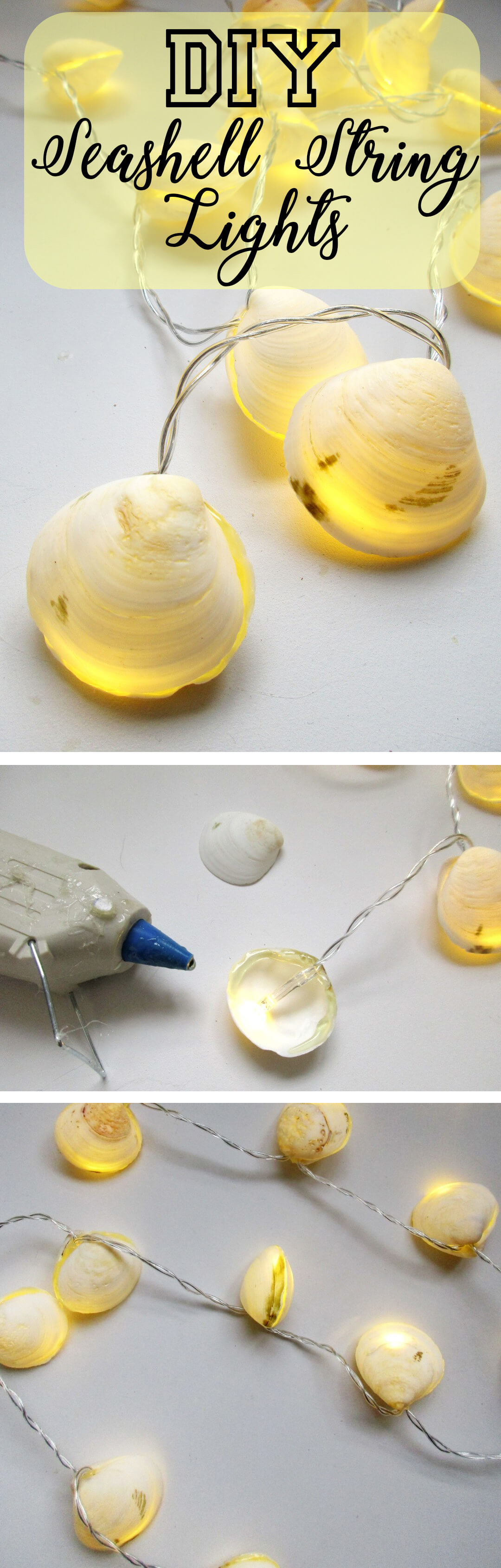 DIY String Lights Made of White Seashells