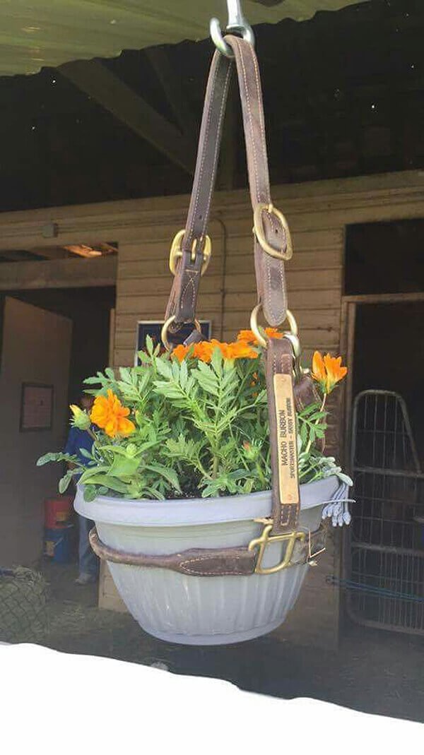 Recycled Horse Bridle Hanging Pot Holder