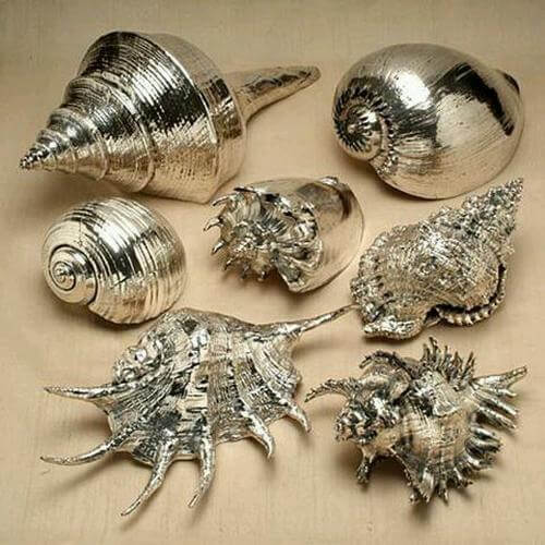 35 Best Diy Shell Projects Ideas And Designs For 2023